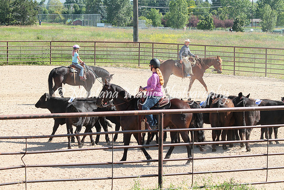 Cattle Clinic Team 2_2257