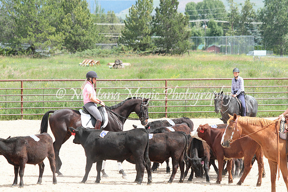 Cattle Clinic Team 3_2325