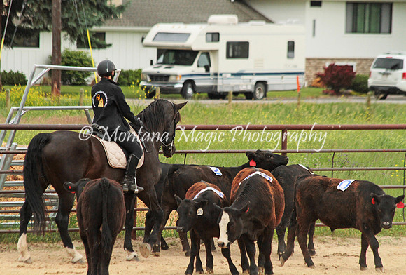 Sorting Team 3_2594