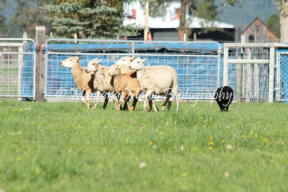 Misty_8878