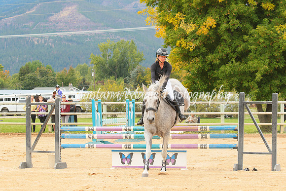 Gavilan Rey_3265