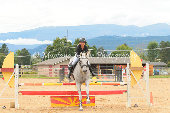 Gavilan Rey_3254