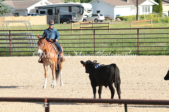 Cattle Clinic Team 1_2183