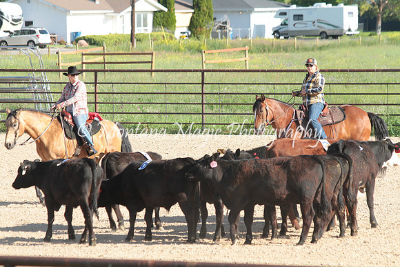 Cattle Clinic Team 1_2195