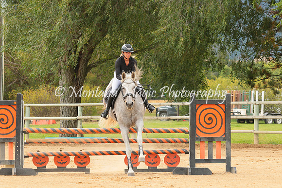 Gavilan Rey_3288