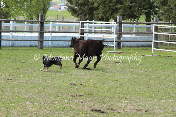 Maggie_0083