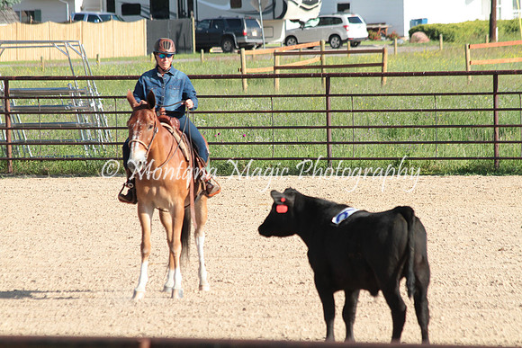 Cattle Clinic Team 1_2182
