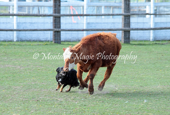 Maggie_9925