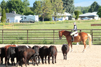 Cattle Clinic Team 1_2187