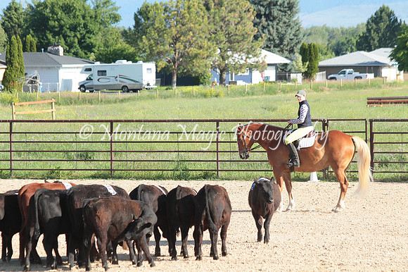 Cattle Clinic Team 1_2187