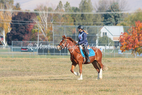 Snoop Horse_4733