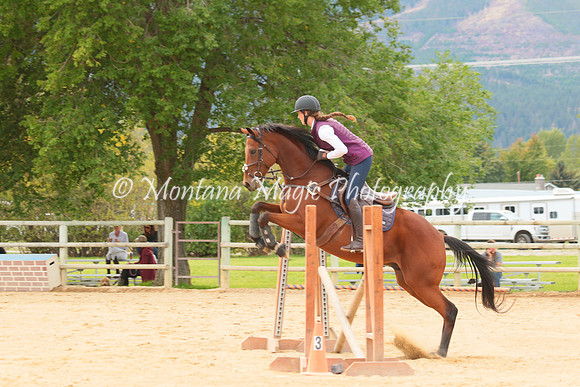 Switchback Creek_3897