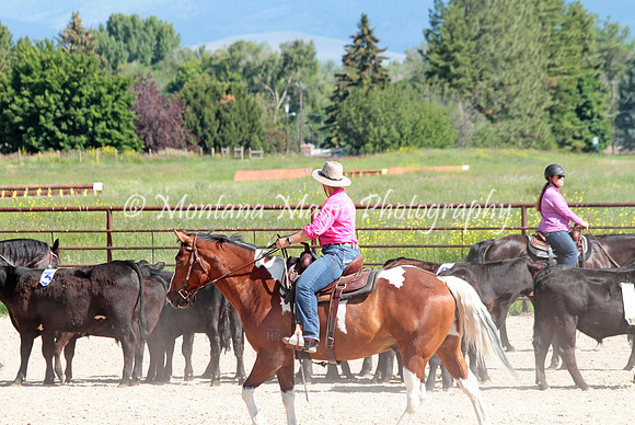 Cattle Clinic Team 2_2247