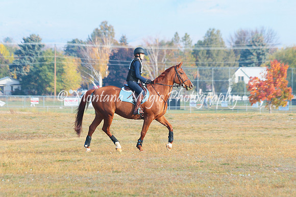Penny Lane_4567
