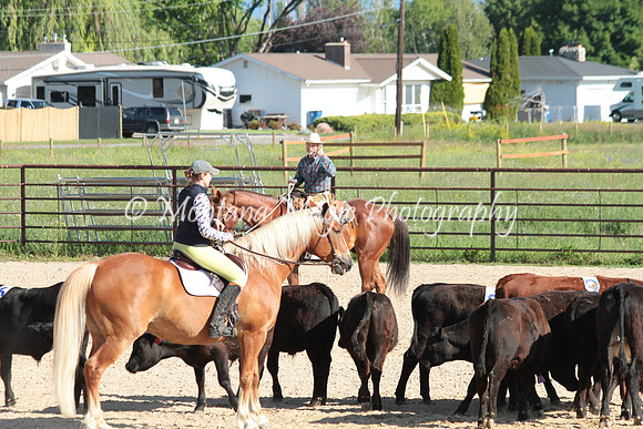 Cattle Clinic Team 1_2207
