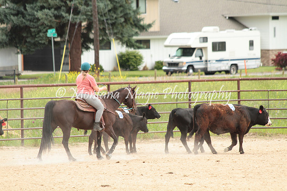 Cattle Clinic Team 4_2424
