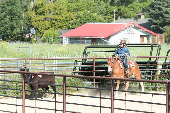 Cattle Clinic Team 1_2220