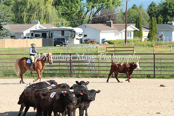 Cattle Clinic Team 1_2218
