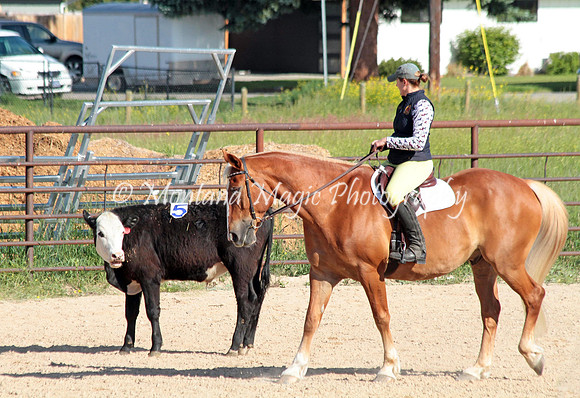 Cattle Clinic Team 1_2210