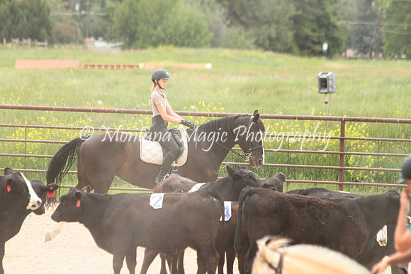 Cattle Clinic Team 4_2382
