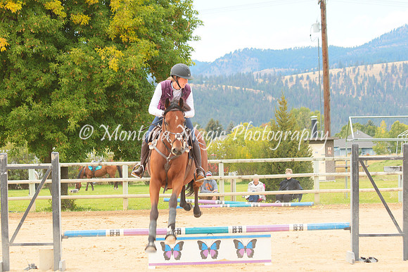 Switchback Creek_3902