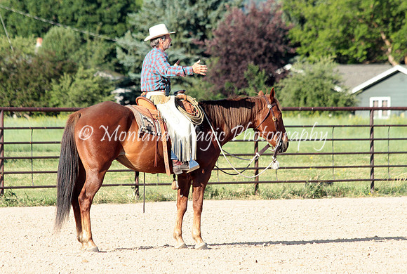 Cattle Clinic Team 1_2171
