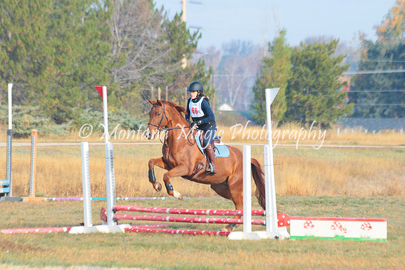 Penny Lane_4564