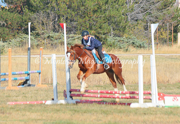 Snoop Horse_4736