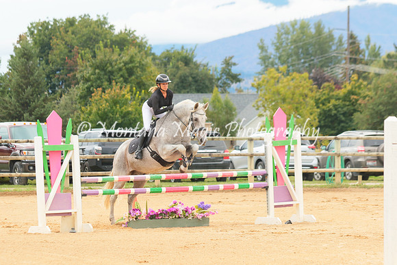 Gavilan Rey_3247
