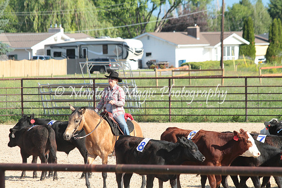 Cattle Clinic Team 1_2203