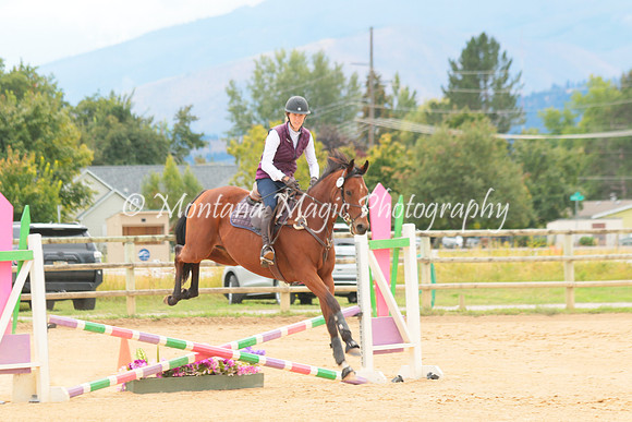 Switchback Creek_3892