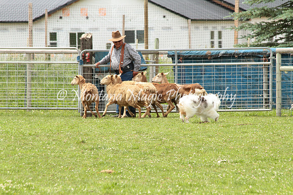 Lola_0285