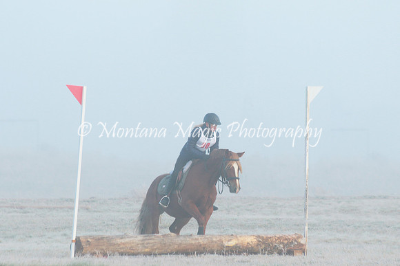 Snoop Horse_4404
