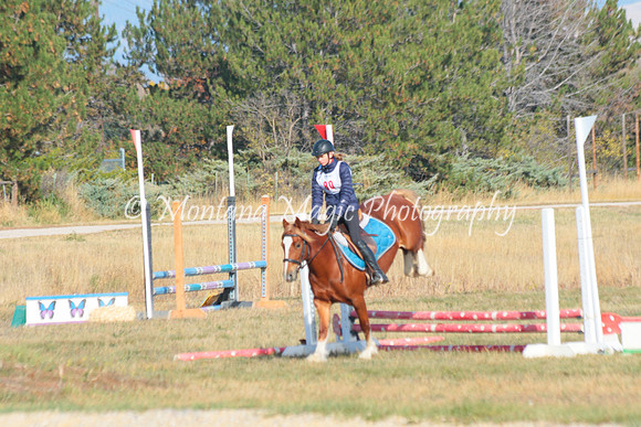 Snoop Horse_4737
