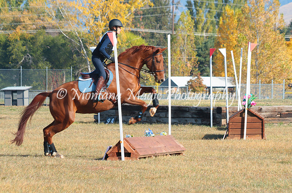 Penny Lane_4729
