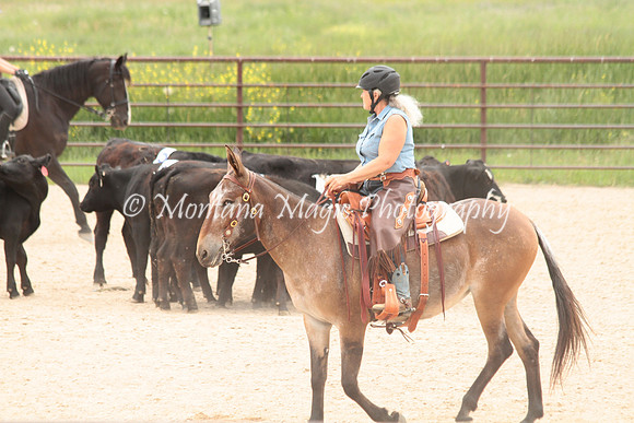 Cattle Clinic Team 4_2389