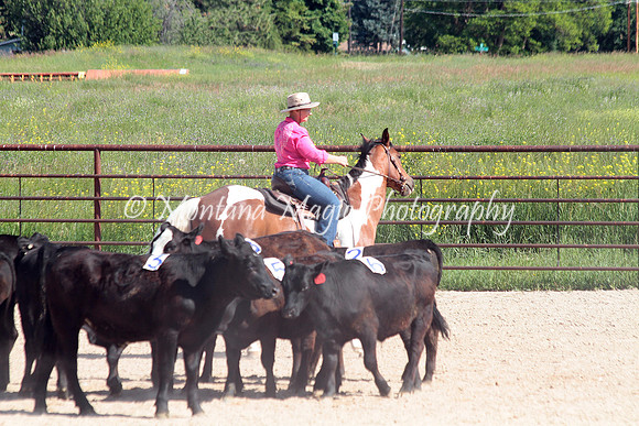 Cattle Clinic Team 2_2248