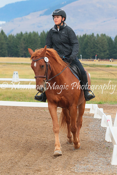 Pippin_2562