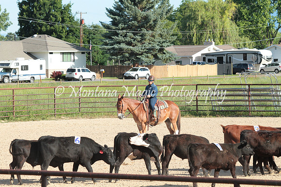 Cattle Clinic Team 1_2186
