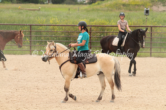 Cattle Clinic Team 4_2406