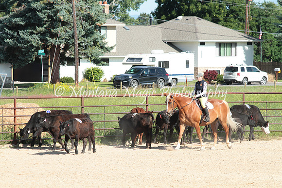 Cattle Clinic Team 1_2233