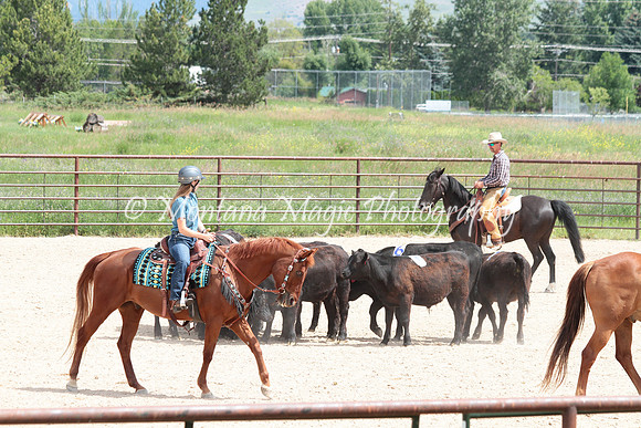 Cattle Clinic Team 3_2317