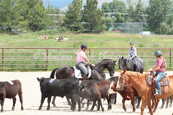 Cattle Clinic Team 3_2327