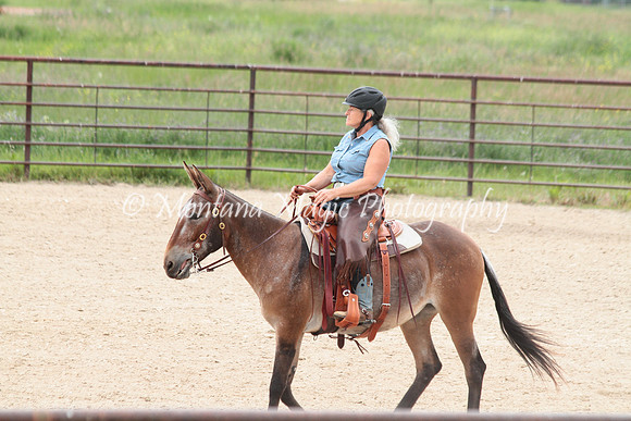 Cattle Clinic Team 4_2378