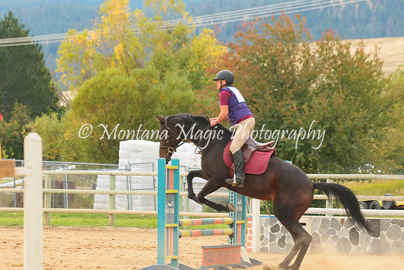 Marigold_3663