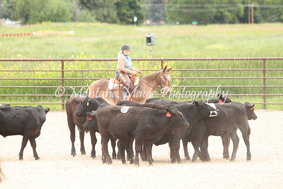 Cattle Clinic Team 4_2387