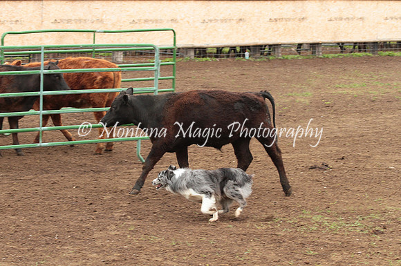 Dually_0398