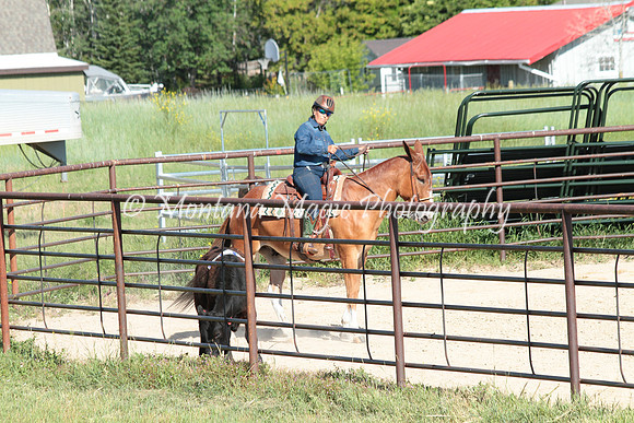 Cattle Clinic Team 1_2222