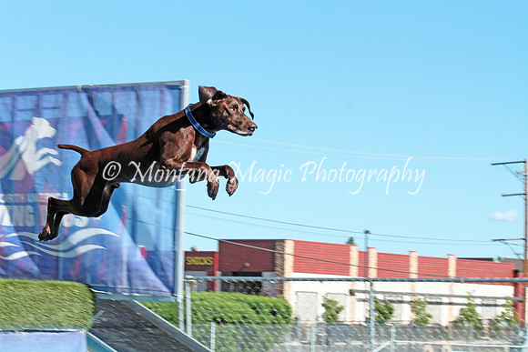 Huck_3665