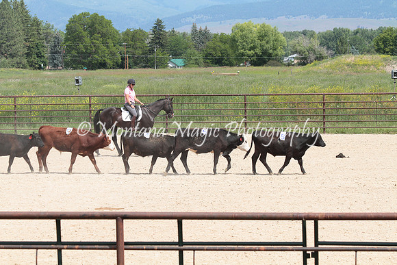 Cattle Clinic Team 3_2308